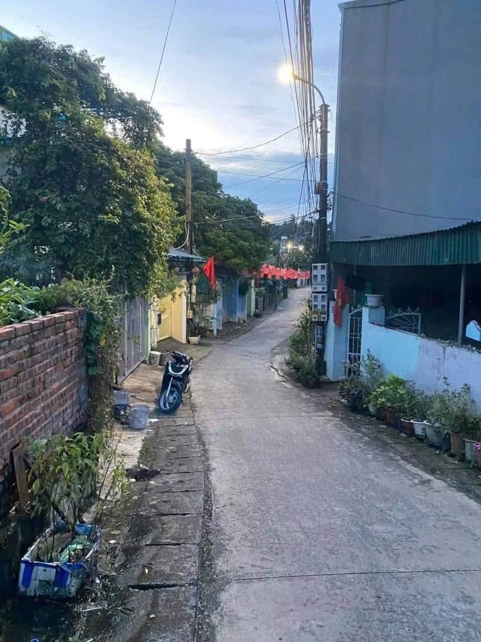 Bán Đất 116m2 ngõ 343 phường Hà Trung,Hạ Long