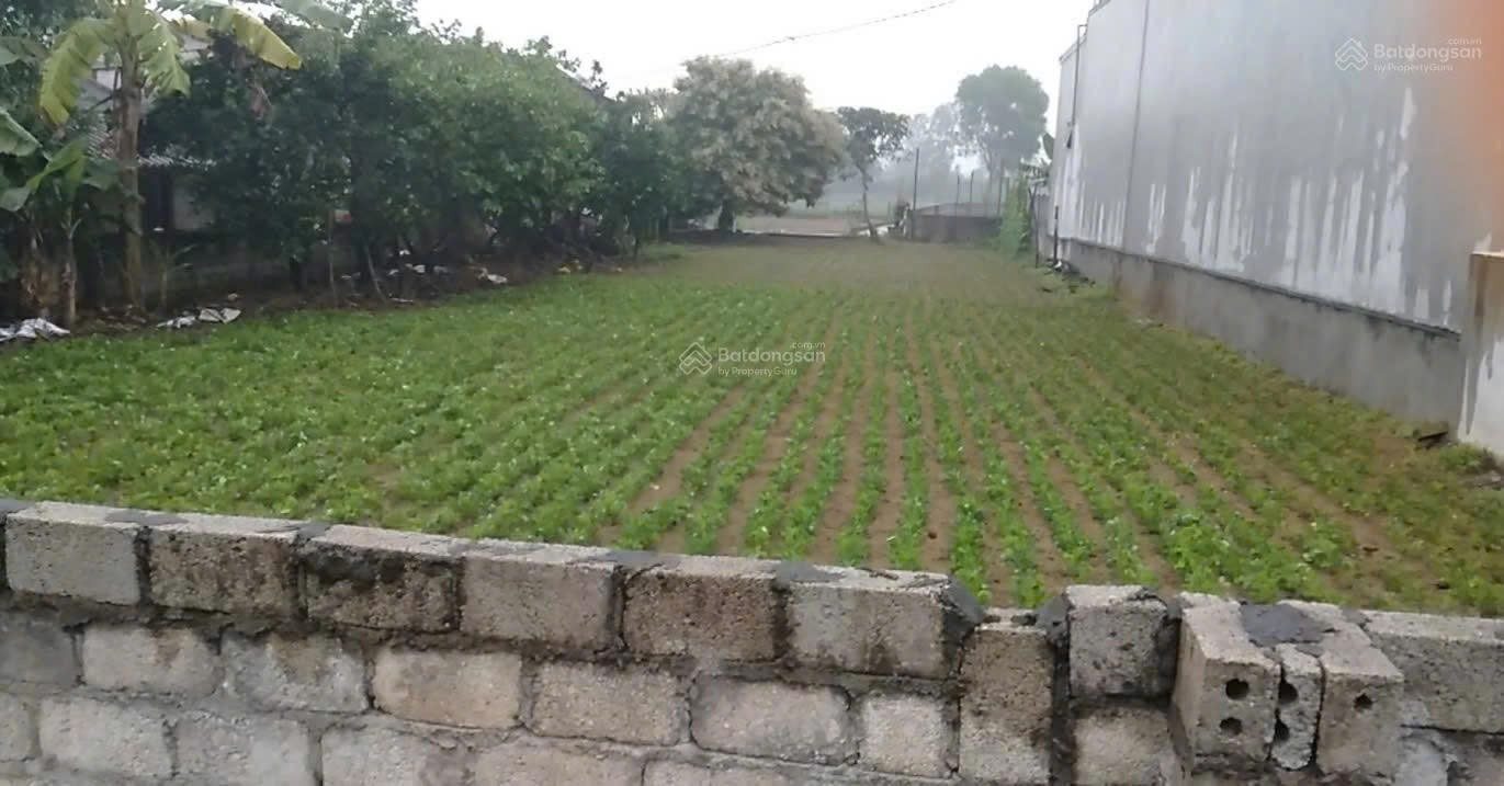 ĐẤT ĐẸP – GIÁ ĐẦU TƯ – CHÍNH CHỦ CẦN BÁN LÔ ĐẤT TẠI THÔN PHÚ THỊNH, XÃ HẢI LĨNH, THỊ XÃ NGHI SƠN, THANH HÓA