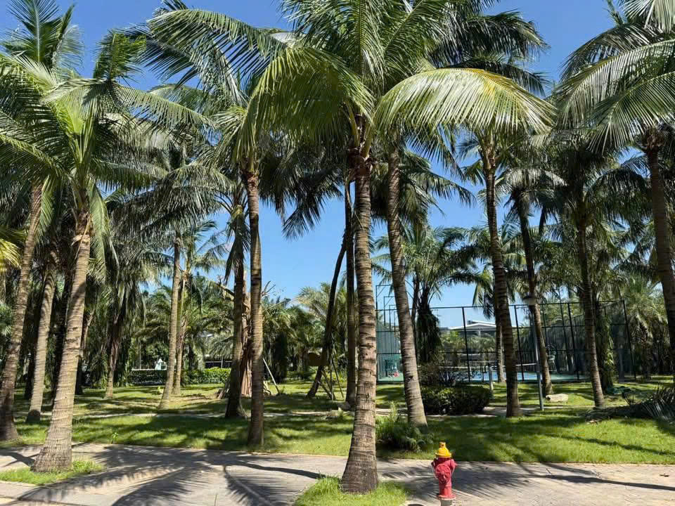 Cần bán nhanh lô đất 150m² thuộc khu đô thị Ecorivers – một trong những khu đáng sống bậc nhất TP Hải Dương.
