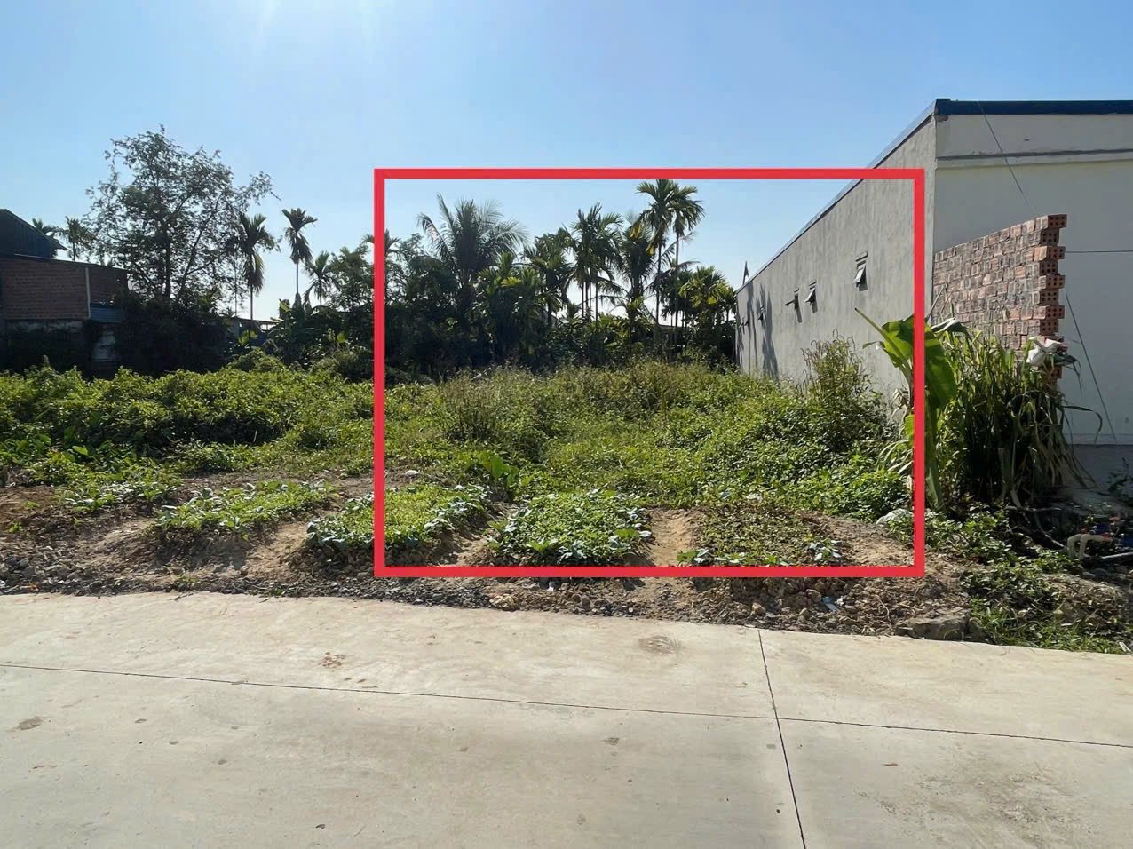 11/01/2026.Bán đất 82m² ngang 4m đường thôn 5m.  giá 2.22 tỷ Phường Hòa Bình. Thủy Triều. liên hệ 0362558882