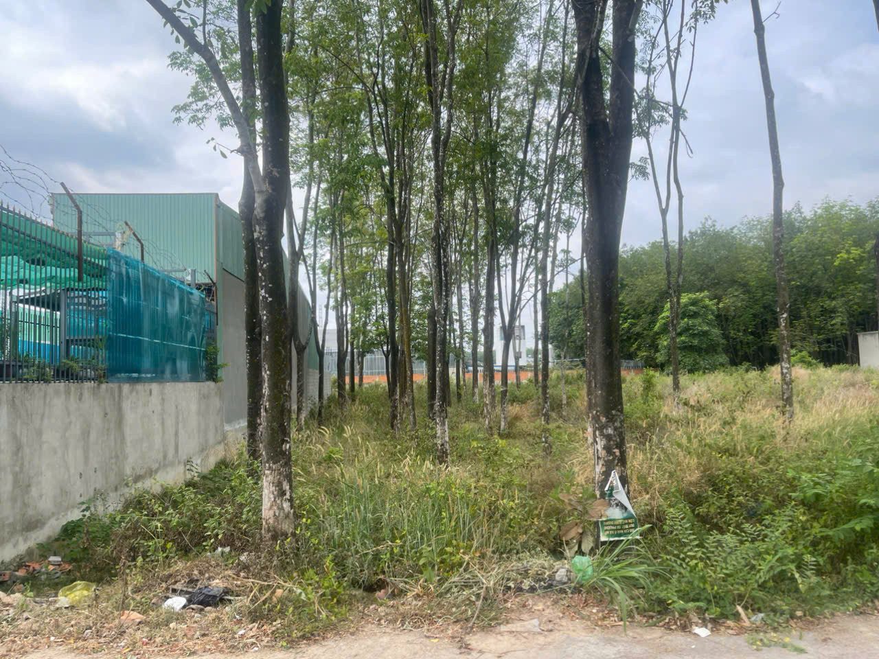 Bán đất 570m² có sẵn 200m² thổ cư ngang 11m giá 8 tỷ tại Phường Hòa Lợi