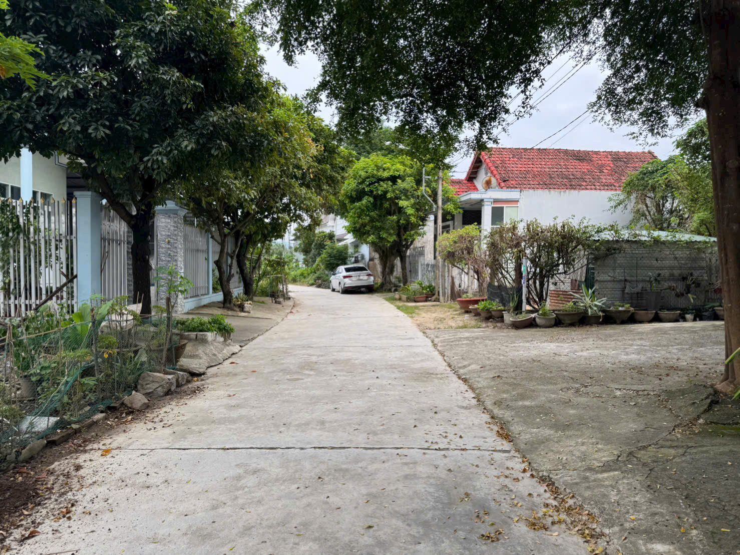 CẦN RA 2 LÔ ĐẤT ĐẸP – P. NINH GIANG 🌿
