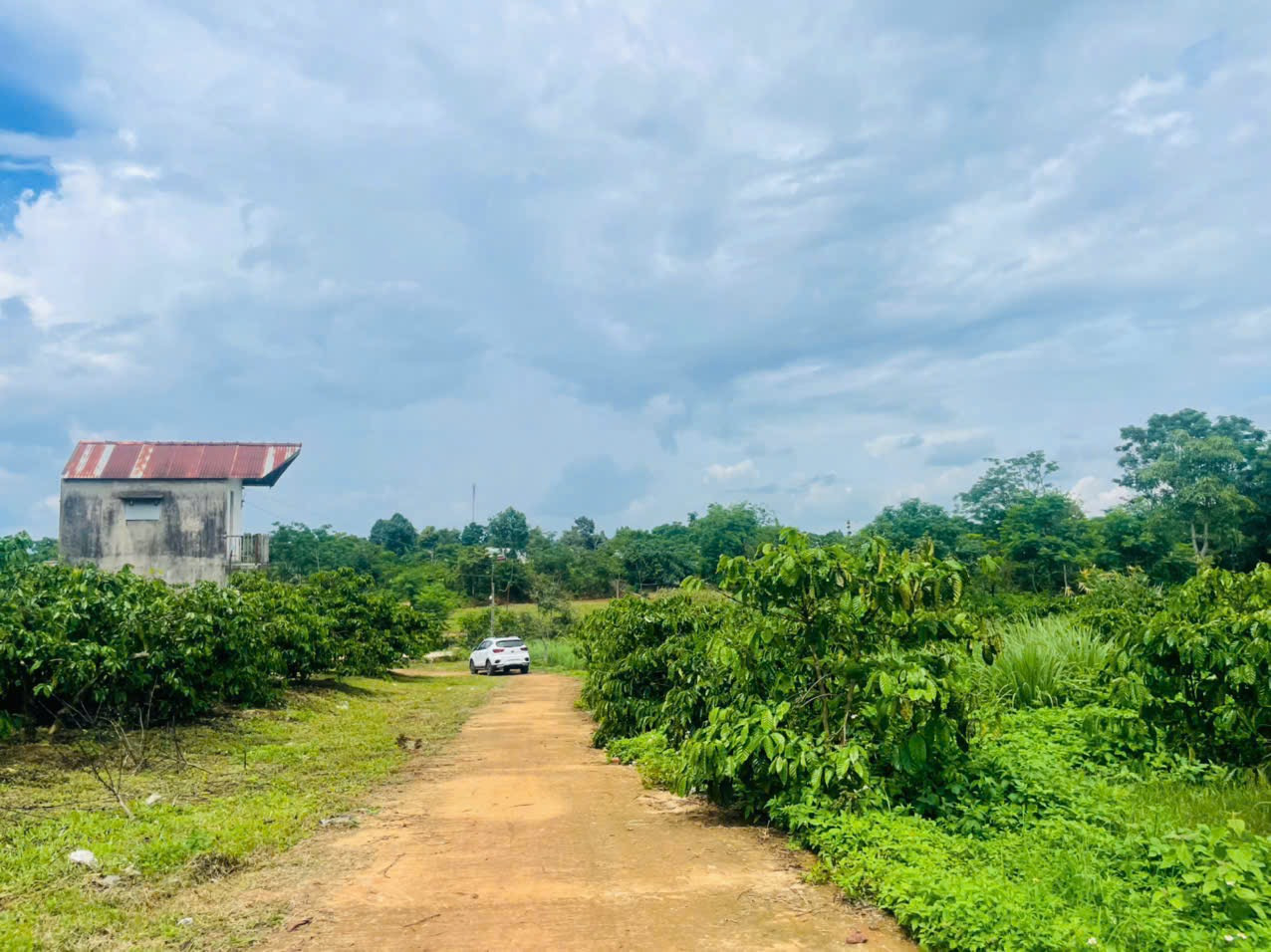 Bán đất 1529.7m² ngang 27m giá 1.95 tỷ tại Phường Hội Phú