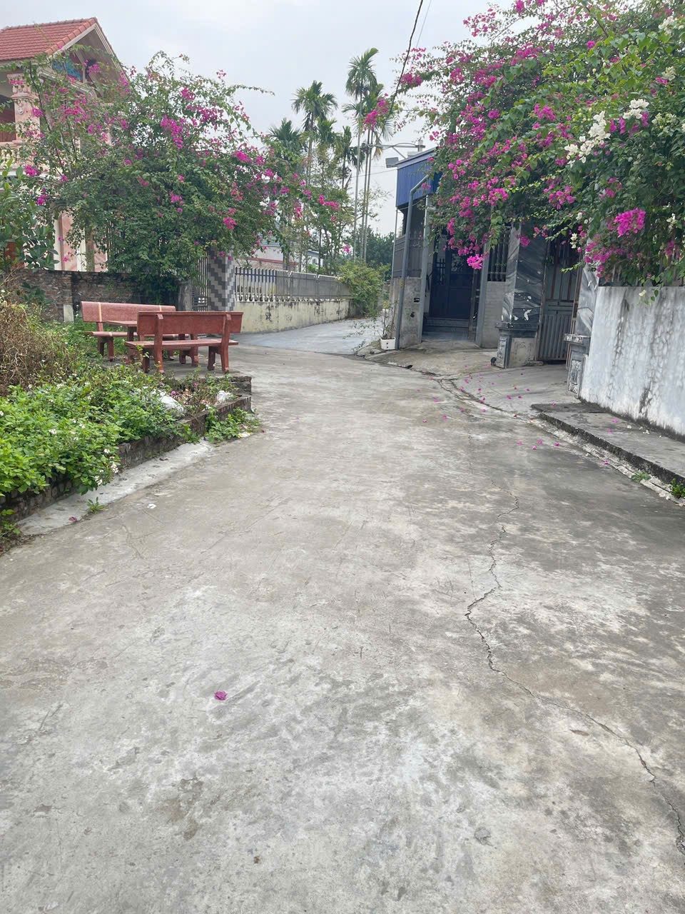 05. 2026.Bán đất 60m² full thổ cư ngang 4m giá 590 triệu tại Phường Hồng An( Đại Bản). liên hệ 0362558882