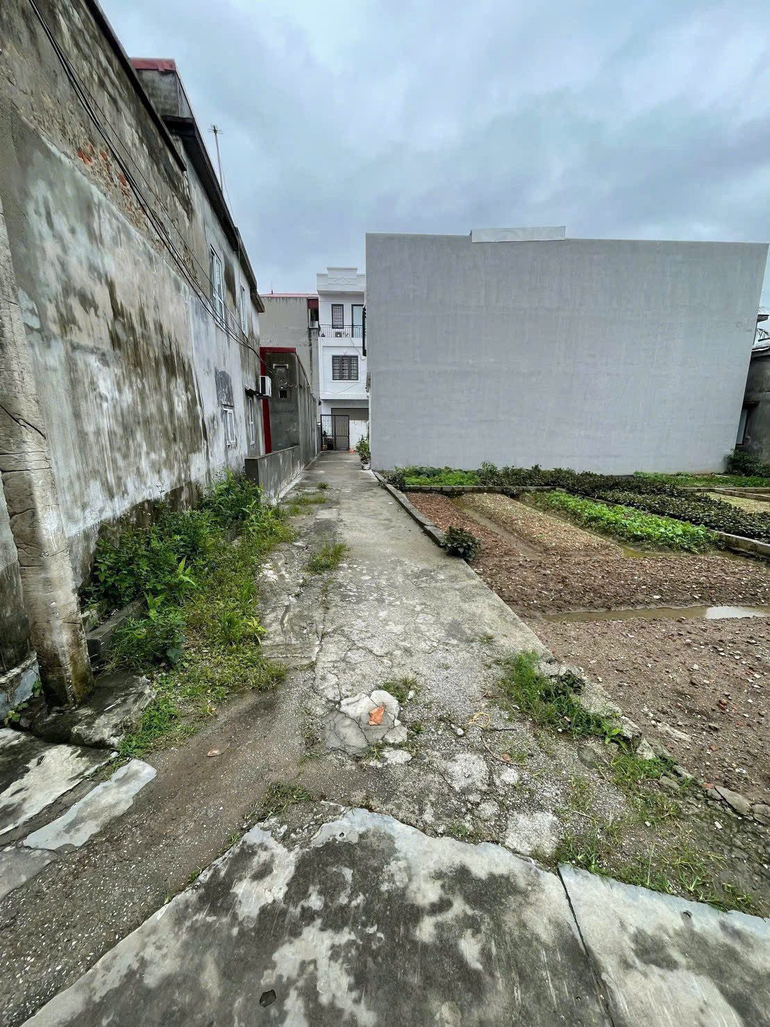 Bán đất 50m² full thổ cư ngang 4m giá 1.29 tỷ tại Phường Hưng Đạo (ngõ ô tô nhỏ Phấn Dũng)