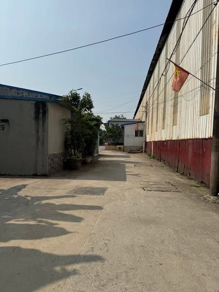 ❌Chỉ 2,3 tỷ sở hữu ngay lô đất 74m2  Quỳnh Cư – Hùng Vương – Hồng Bàng - LH 0398787284