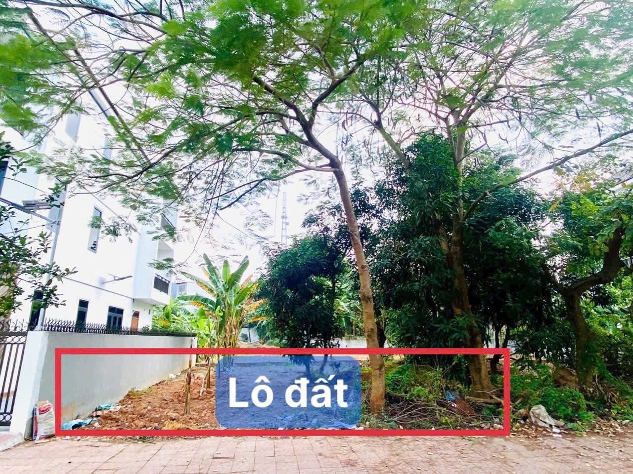 Lh xem đất: 0973612030