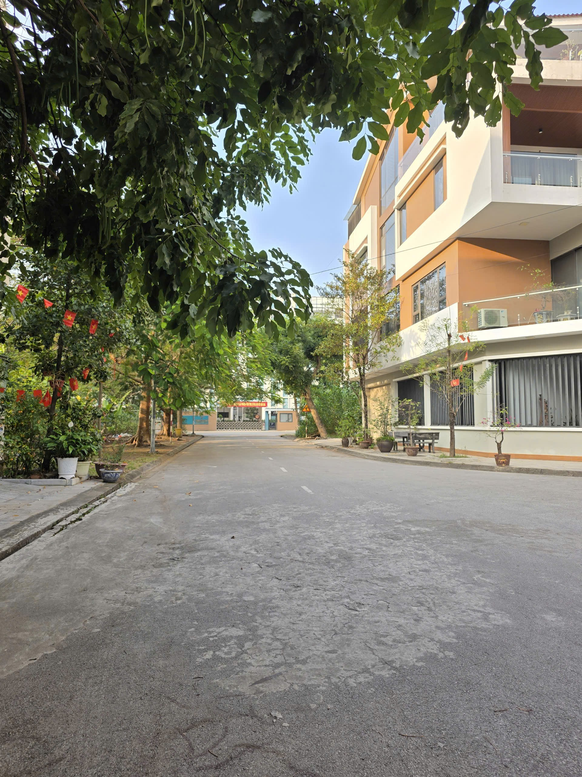 BÁN ĐẤT ĐƯỜNG PHÓ ĐỨC CHÍNH. NHÌN VƯỜN HOA. YNA. P. KINH BẮC. BẮC NINH