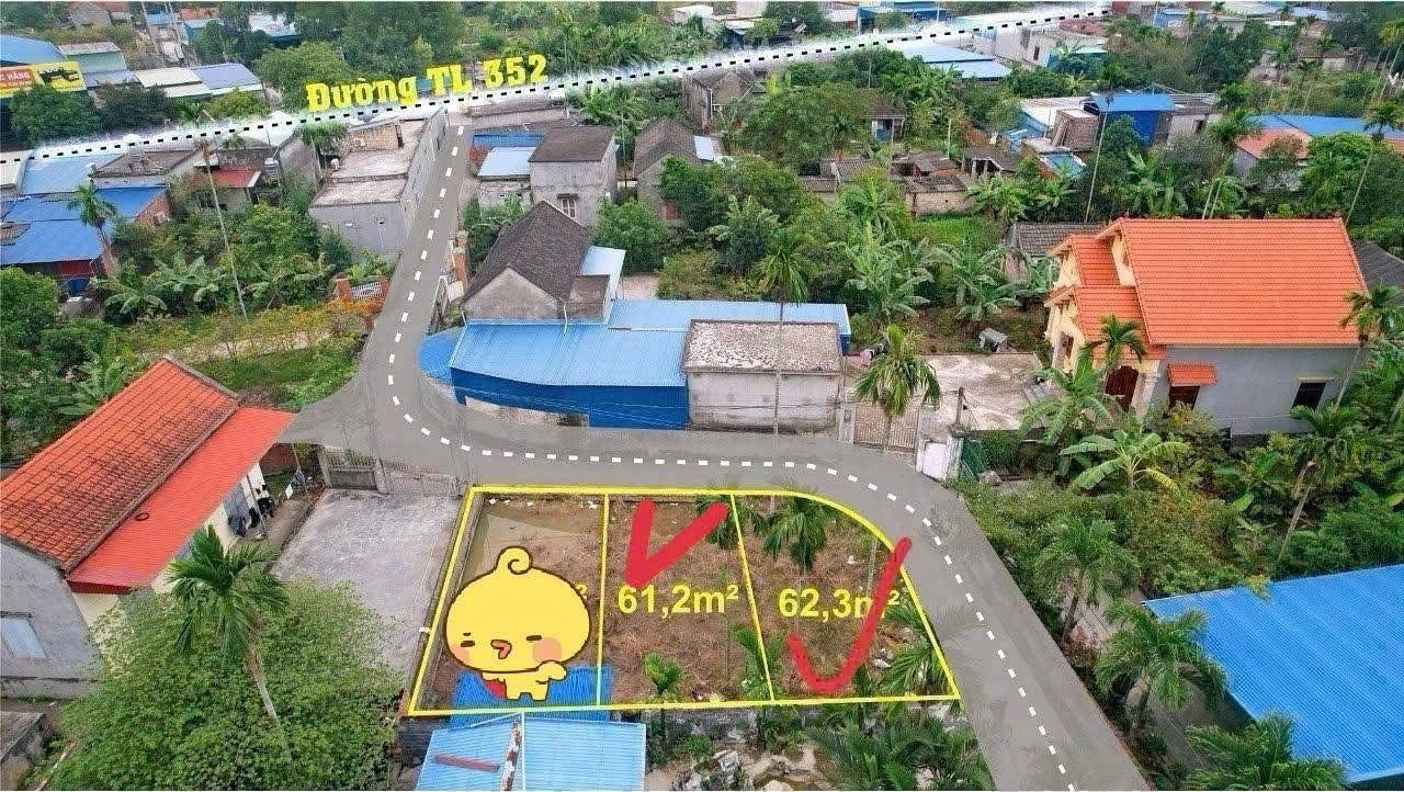 24/11/2025.Bán đất 60m² ngang 4,8m giá 780 triệu Phường Lê Ích Mộc( Quảng Thanh) liên hệ 0362558882