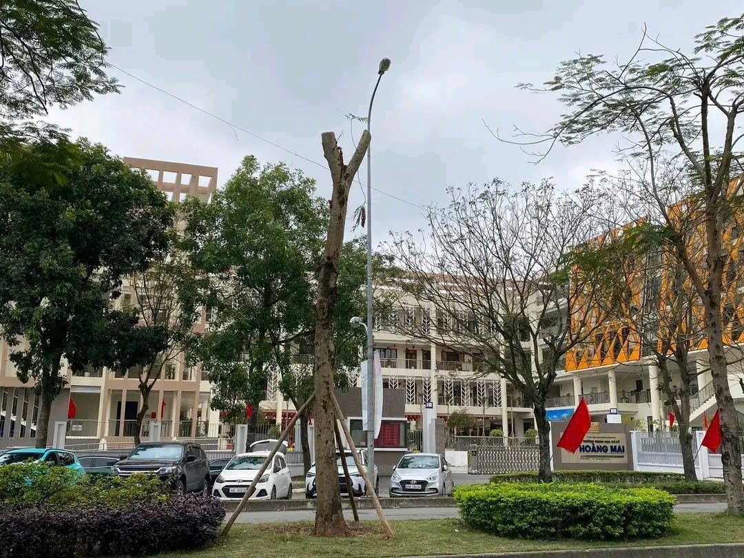 BÁN GẤP CĂN HỘ GELECIA TAM TRINH  HOÀNG MAI 74M TIỆN ÍCH VĂN MINH CHỈ 6,6 TỶ
