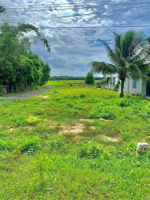 Bán đất 500m² giá 990 triệu tại Phường Lộc Phát Thành phố Bảo Lộc