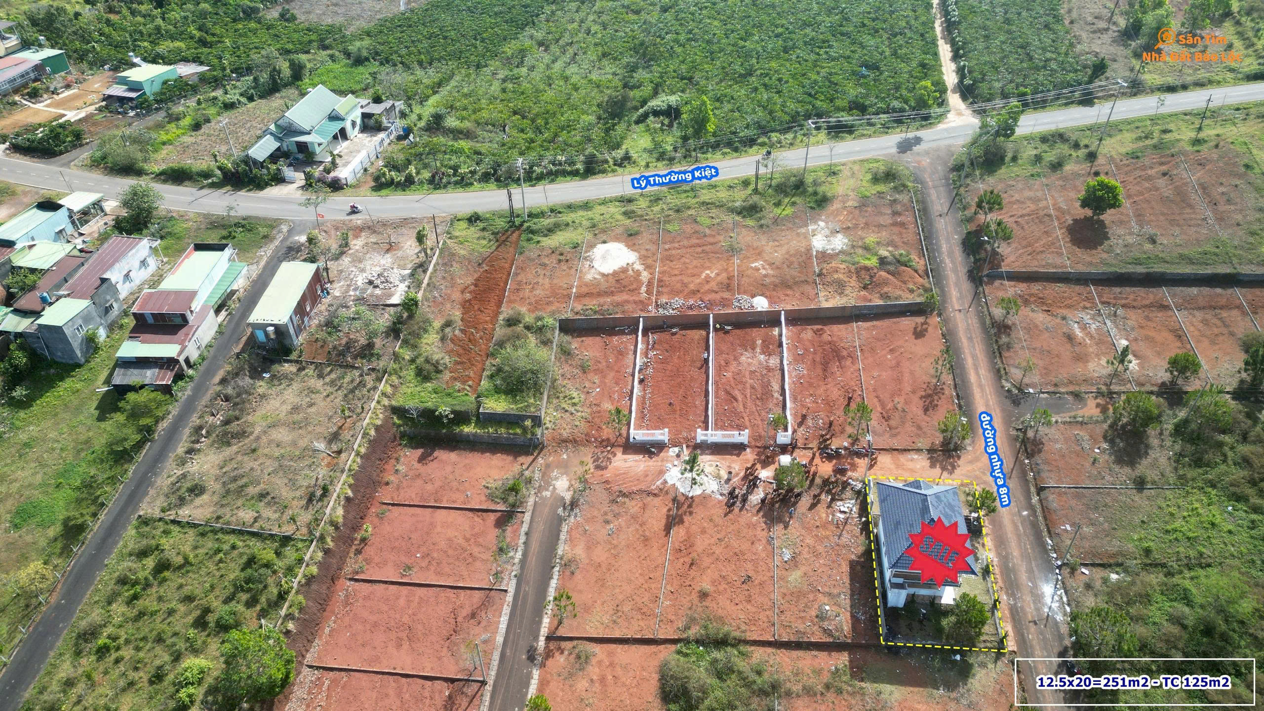 🏡 BÁN NHANH LÔ ĐẤt BIỆT THỰ – GẦN LÝ THƯỜNG KIỆT, P.1 BẢO LỘC