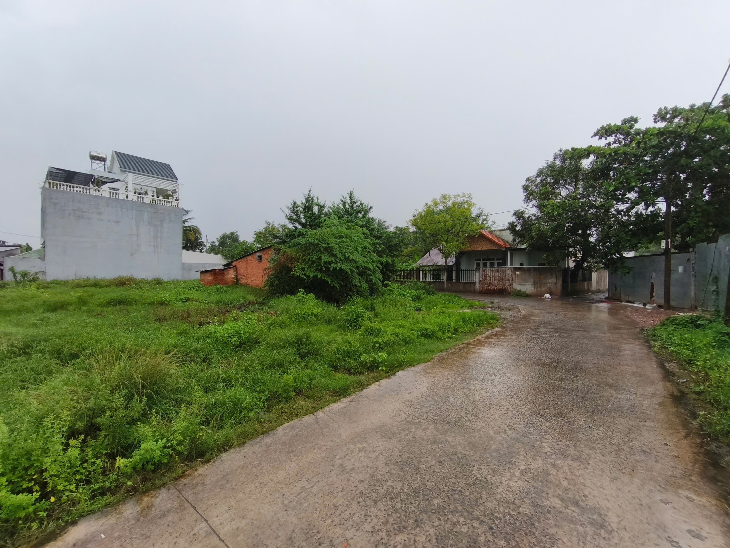 Bán đất 1374m² giá 39 tỷ Phường Long Phước