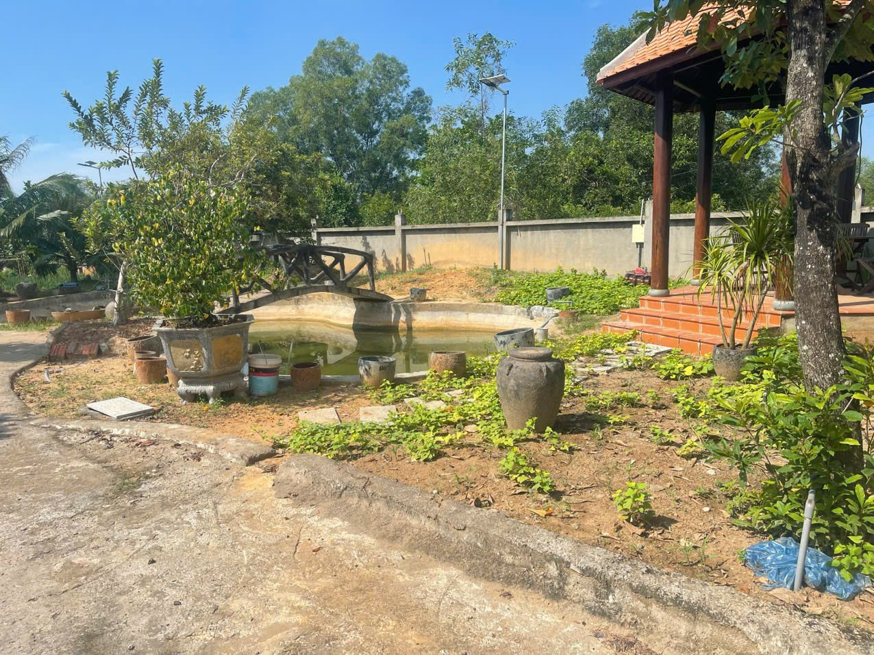 1000 m2 long phước quận 9 giá bán 12 ti