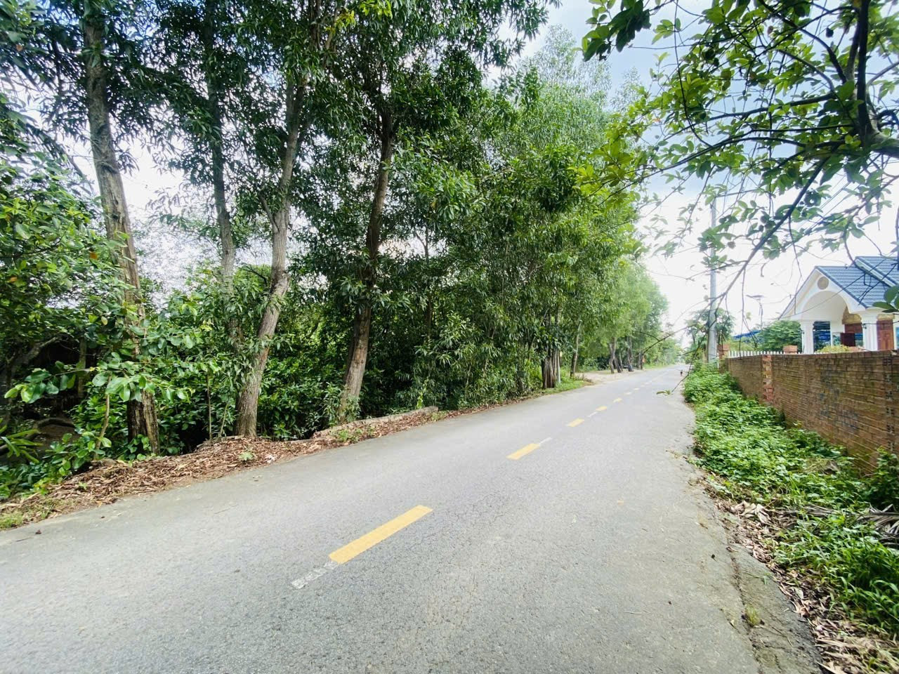 Bán lô đất Mt đường số 1 . Ngay cầu Long Đại. Long Phước. Có 200m thổ