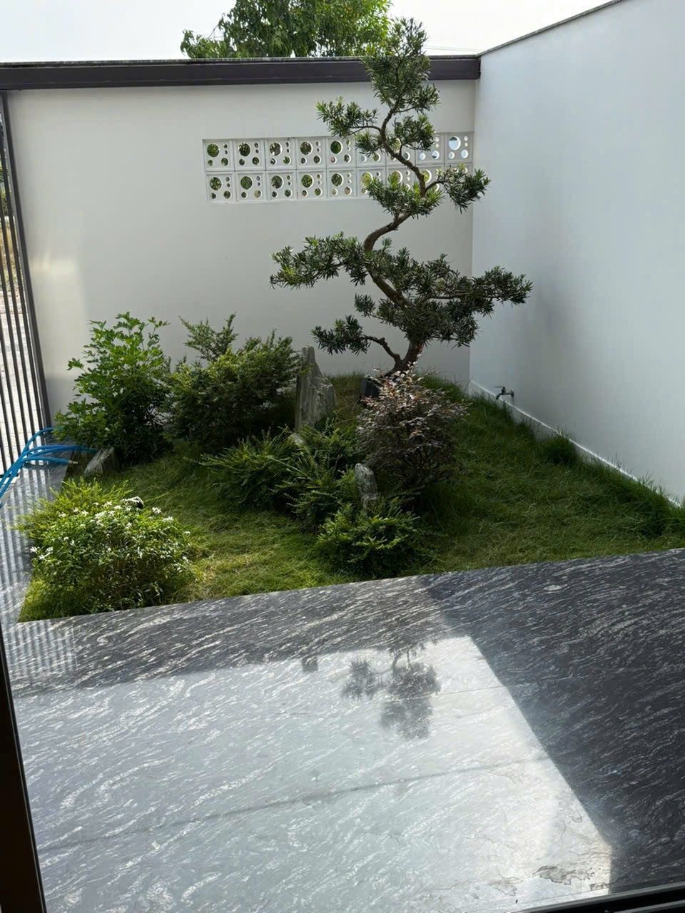 ☘️☘️ Nhà 1 trệt 1 lầu Gò Cát 8 thuộc Hoà Long phường Tam Long TpHCM