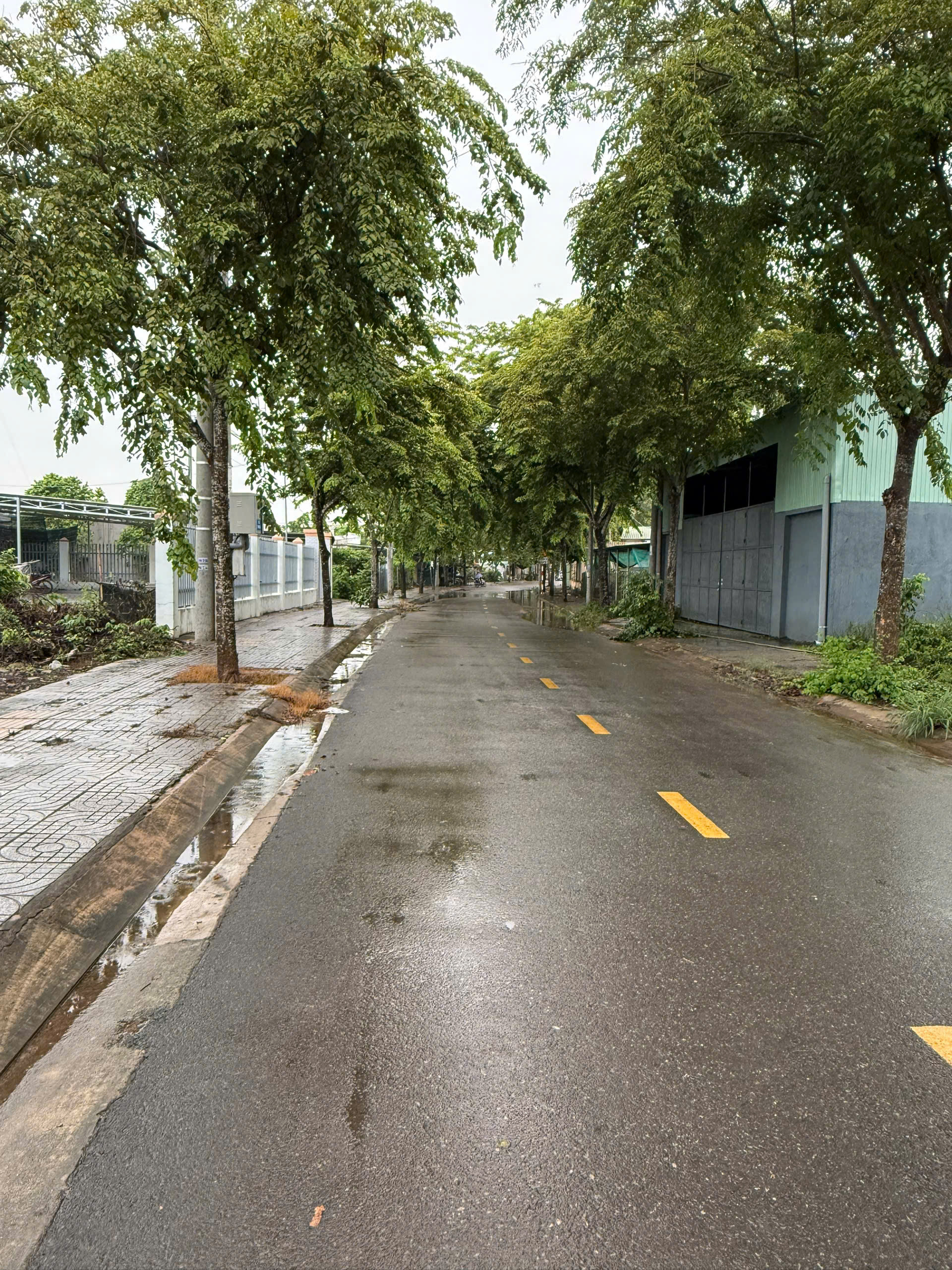 Bán Đất 120m2 tại HL8, Tam Long, TP. Hồ Chí Minh Phường Tam Long TP. Hồ Chí Minh