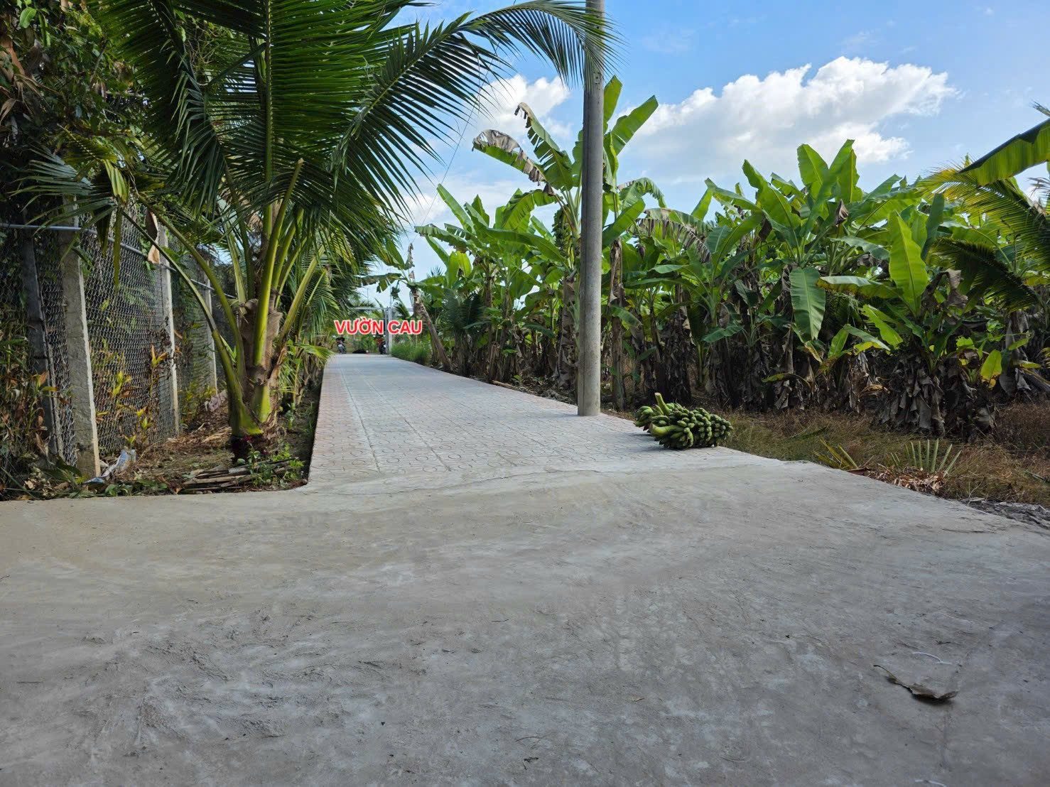 Nền lộ xe hơi