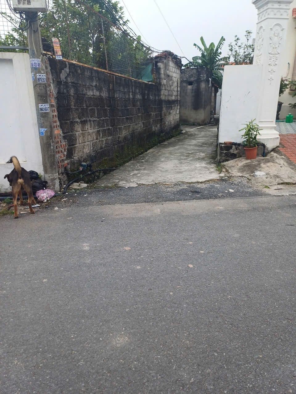 X.04/03/2026.Bán đất 100m² full thổ cư ngang 4,5m giá 950 triệu tại Phường Lưu Kiếm. Lưu Kiếm. liên hệ 0362558882