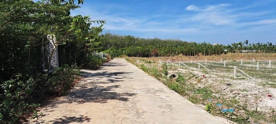Bán đất 250m² có sẵn 50m² thổ cư ngang 5m giá 490 triệu tại Phường Minh Hưng