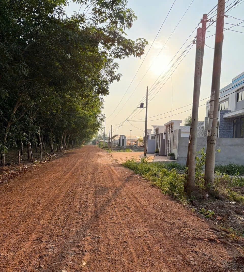 Bán đất 1200m² có sẵn 100m² thổ cư ngang 10m giá 1.8 tỷ tại Phường Minh Hưng