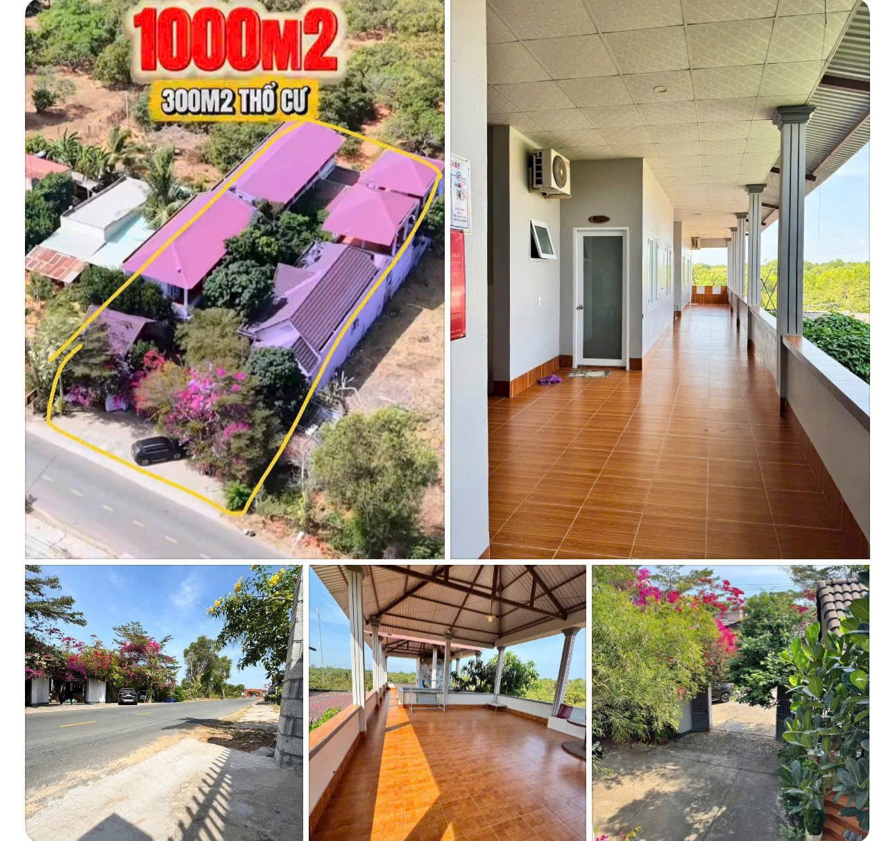 Bán homestay 1000m2 đường 715 Hàm Tiến, gồm 20p kinh doanh. Giá 12 tỷ. Lvcc 0982482666