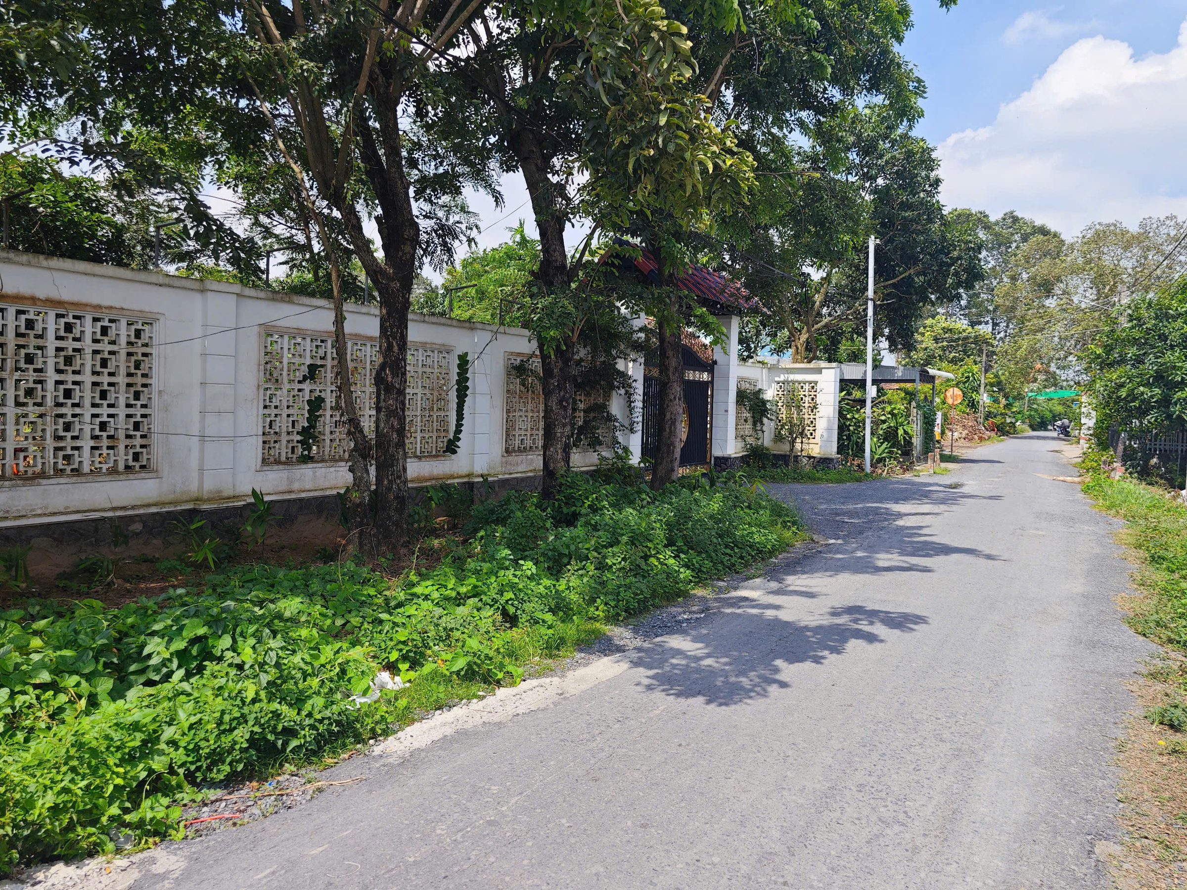 🌳 BÁN ĐẤT VƯỜN ĐƯỜNG NHỰA MỸ HÒA – GẦN CẦU PHÚ HÒA