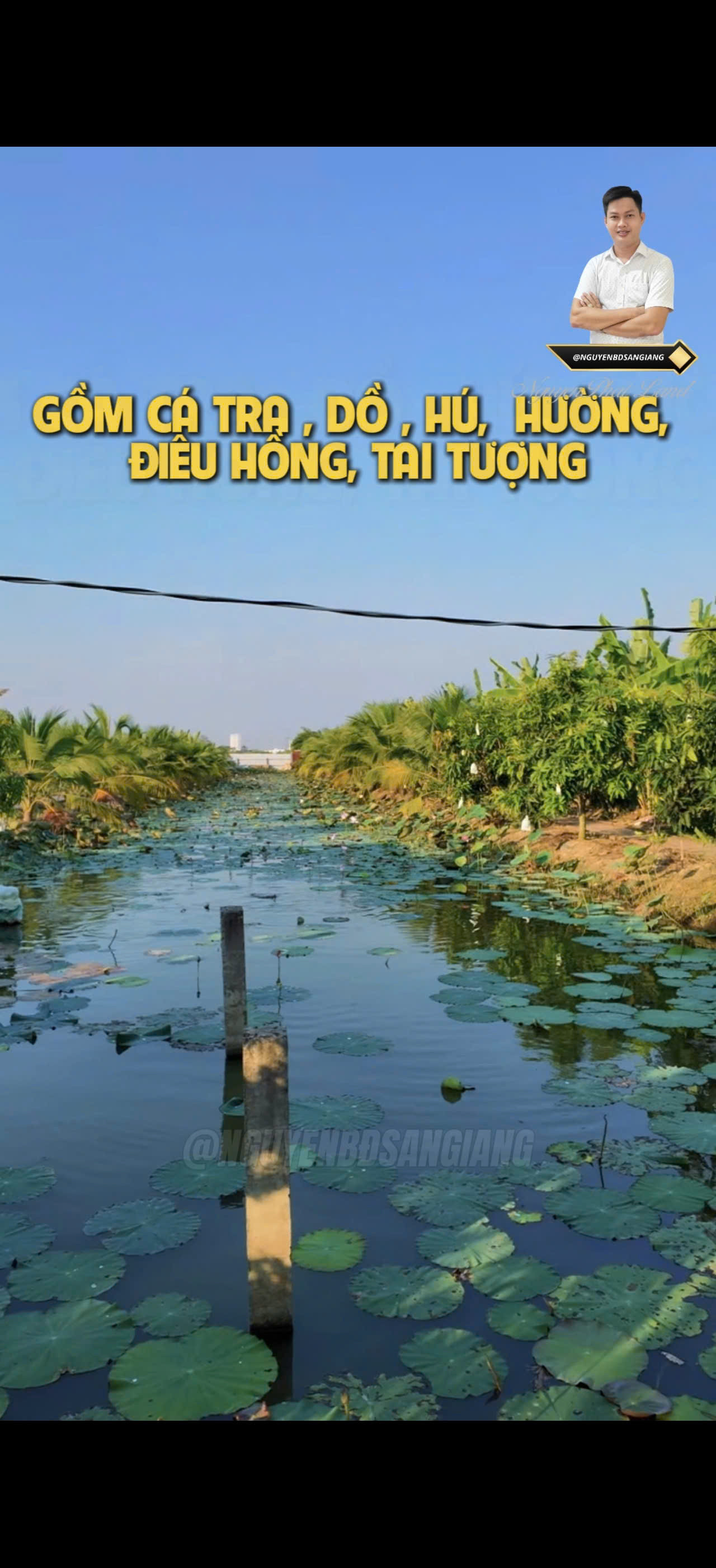 CHO THUÊ HOẶC HỢP TÁC – SIÊU PHẨM VƯỜN SINH THÁI MẶT TIỀN TUYẾN TRÁNH (MỸ HÒA)