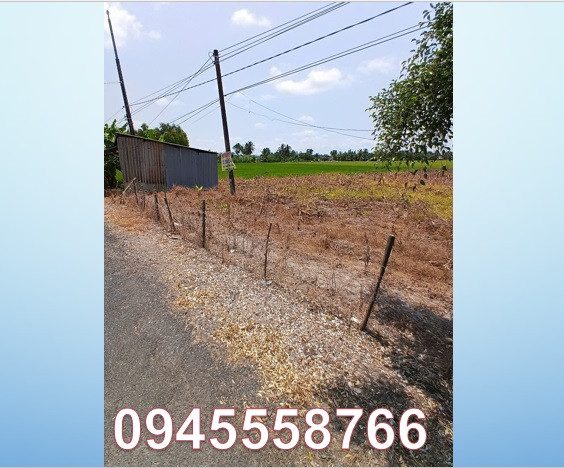 ☢️Chính chủ cần bán gấp lô đất mặt tiền ĐT 937B ngay Mỹ Quới, (huyện Ngã 5, Sóc Trăng). 0945558766