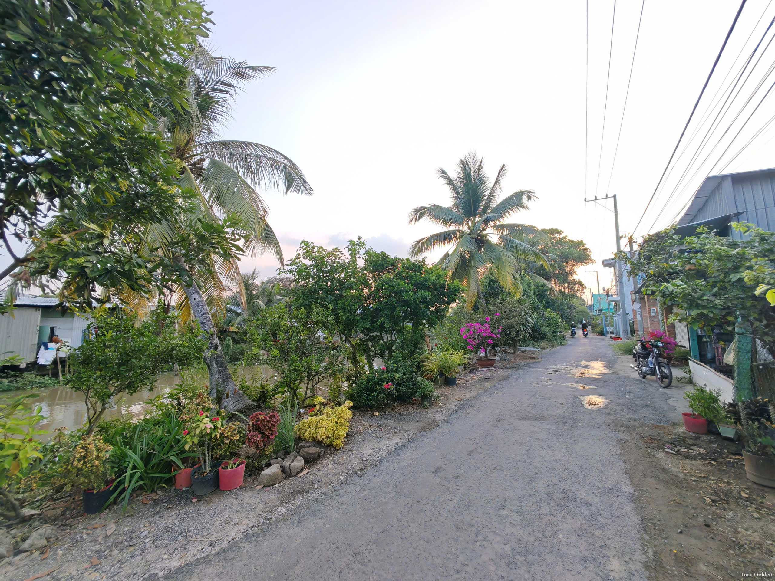 BÁN 1.653m² ĐẤT MẶT TIỀN RẠCH MƯƠNG THƠM, MỸ THẠNH – VIEW KÊNH THOÁNG MÁT, CÓ SẴN THỔ CƯ