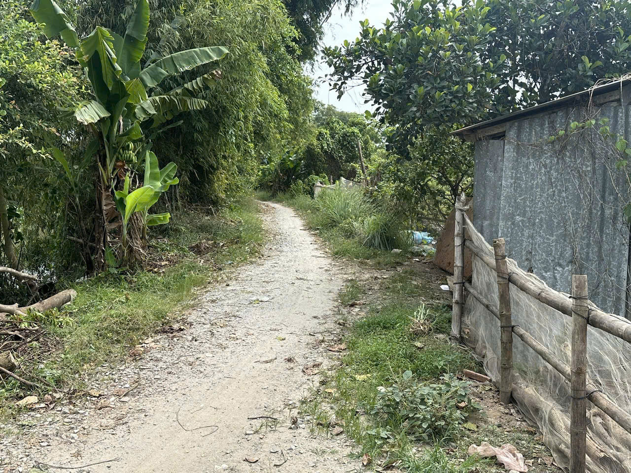 BÁN 2.843m² ĐẤT VƯỜN RỘNG RÃI – PHƯỜNG MỸ THỚI (GẦN TUYẾN TRÁNH)