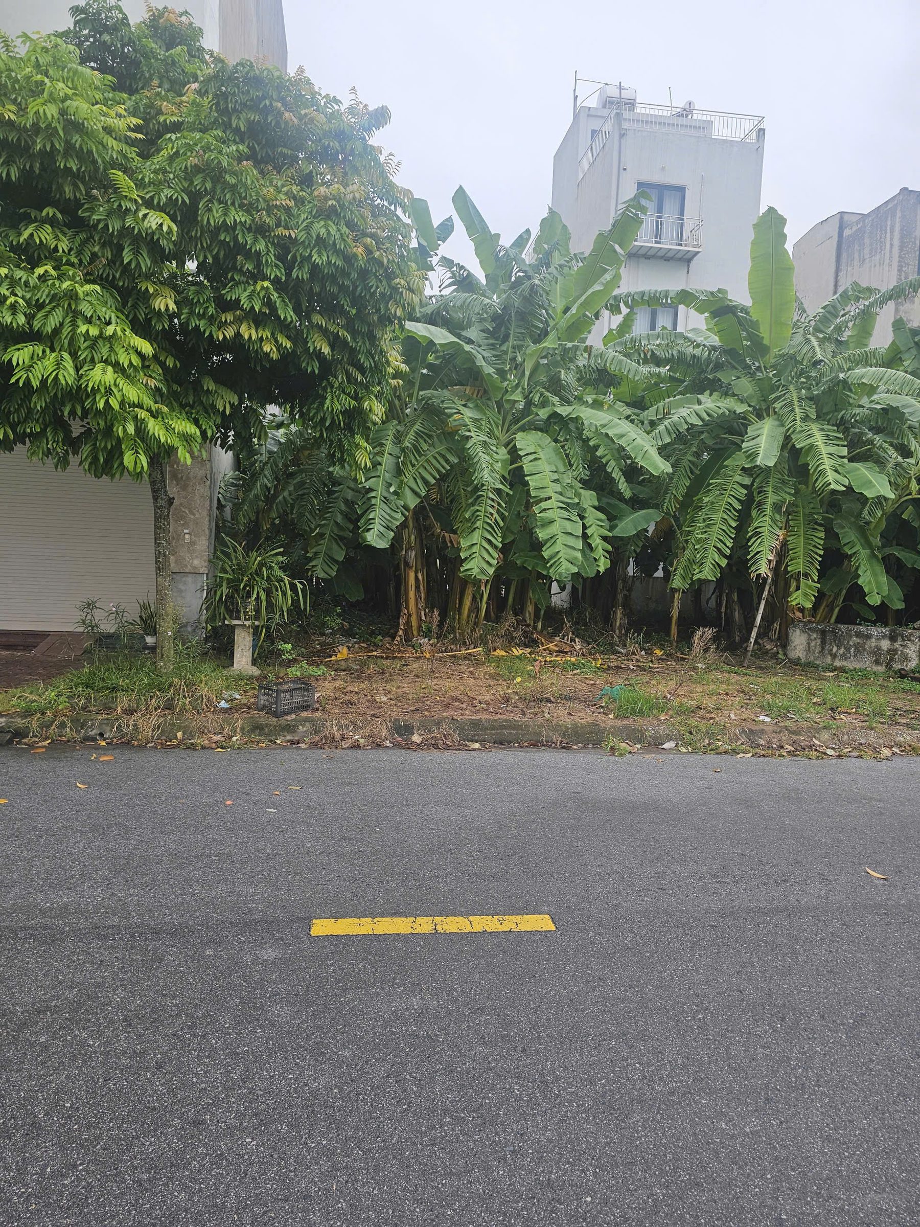 Bán nhanh lô đất 90m2, vị trí đẹp tại Phường Nhị Châu, TP Hải Dương.