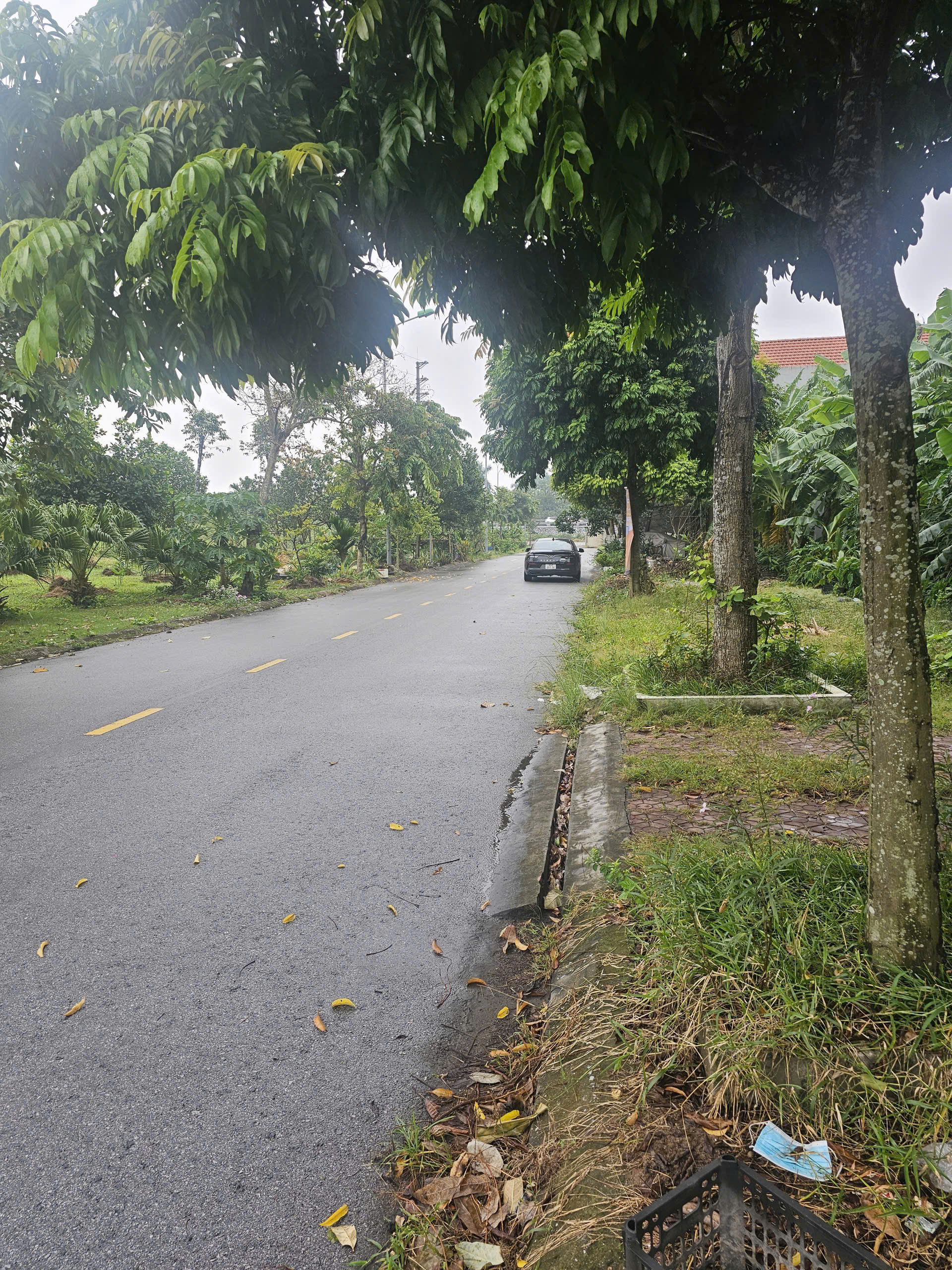 Cần bán lô đất đẹp tại khu đô thị phía Tây Cầu Phú Lương, Phường Nhị Châu, TP Hải Dương.