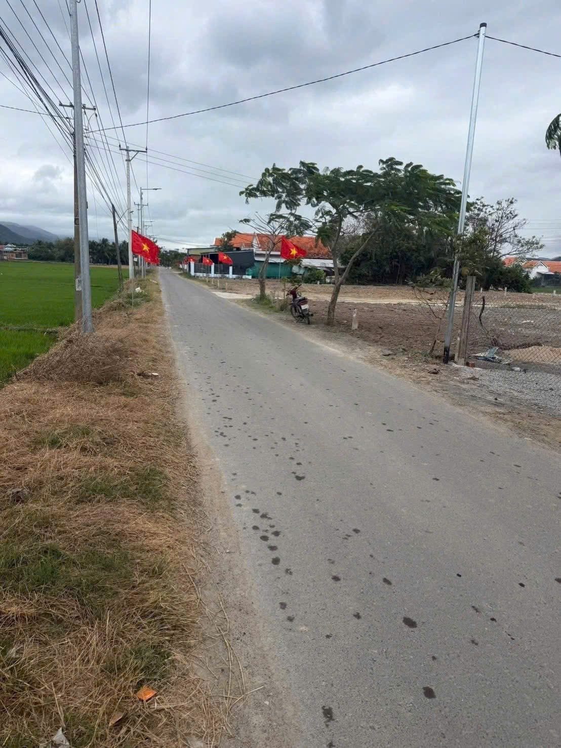 Cần bán mấy lô mặt tiền Hồ Tùng Mậu