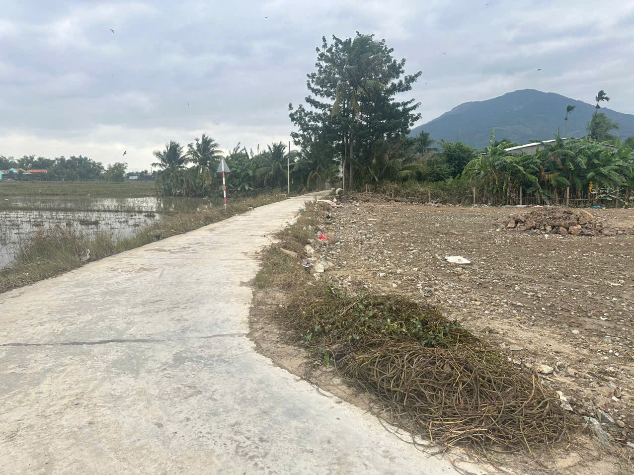 0938113403 Bán đất 140m² full thổ cư ngang 11m giá 600 triệu tại Phường Ninh Hòa Z353