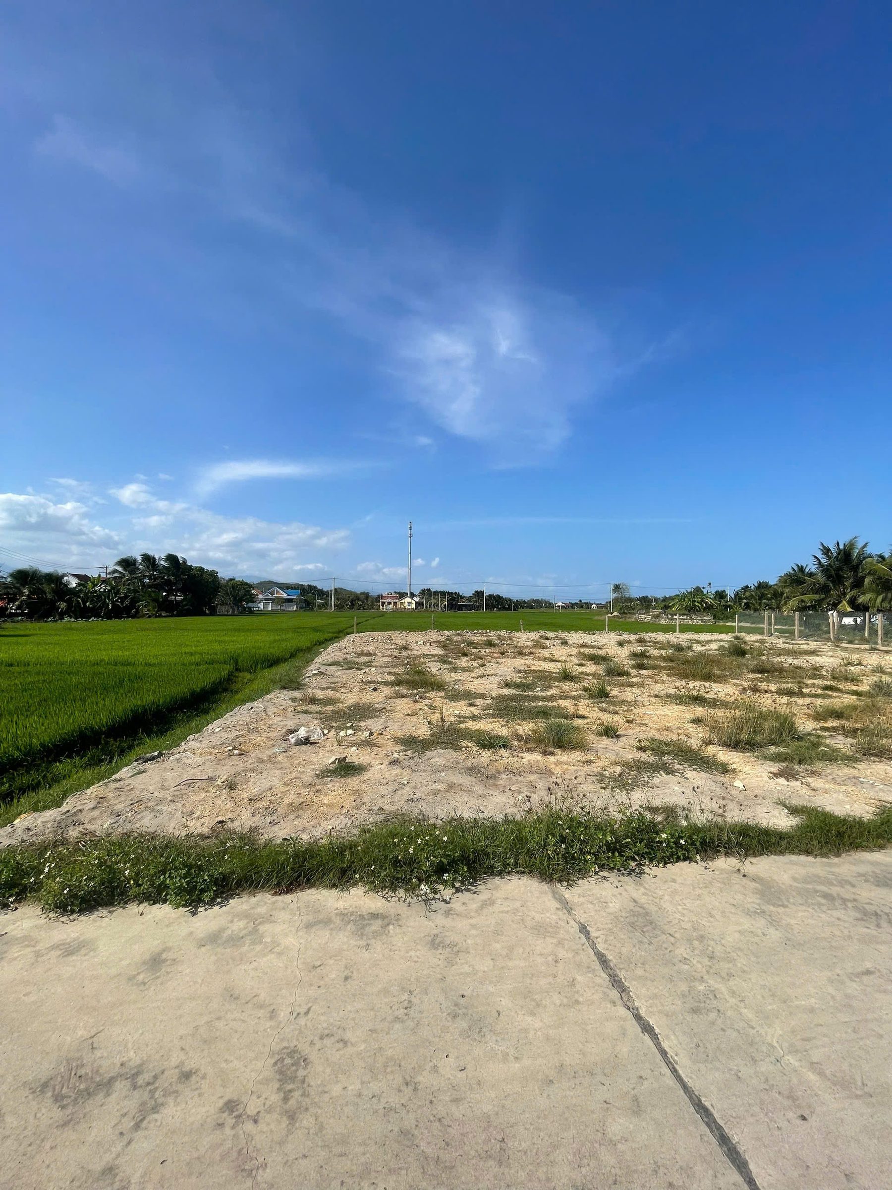 🏡 BÁN ĐẤT PHƯỜNG NINH HÒA (NINH ĐA CŨ) – GẦN CHỢ CHIỀU MỸ LỆ.....