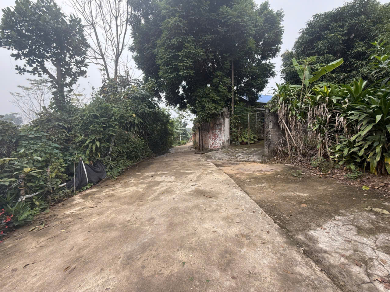 Bán đất 148.5m² có sẵn 80m² thổ cư ngang 5.14m giá 2.68 tỷ tại Phường Nông Trang
