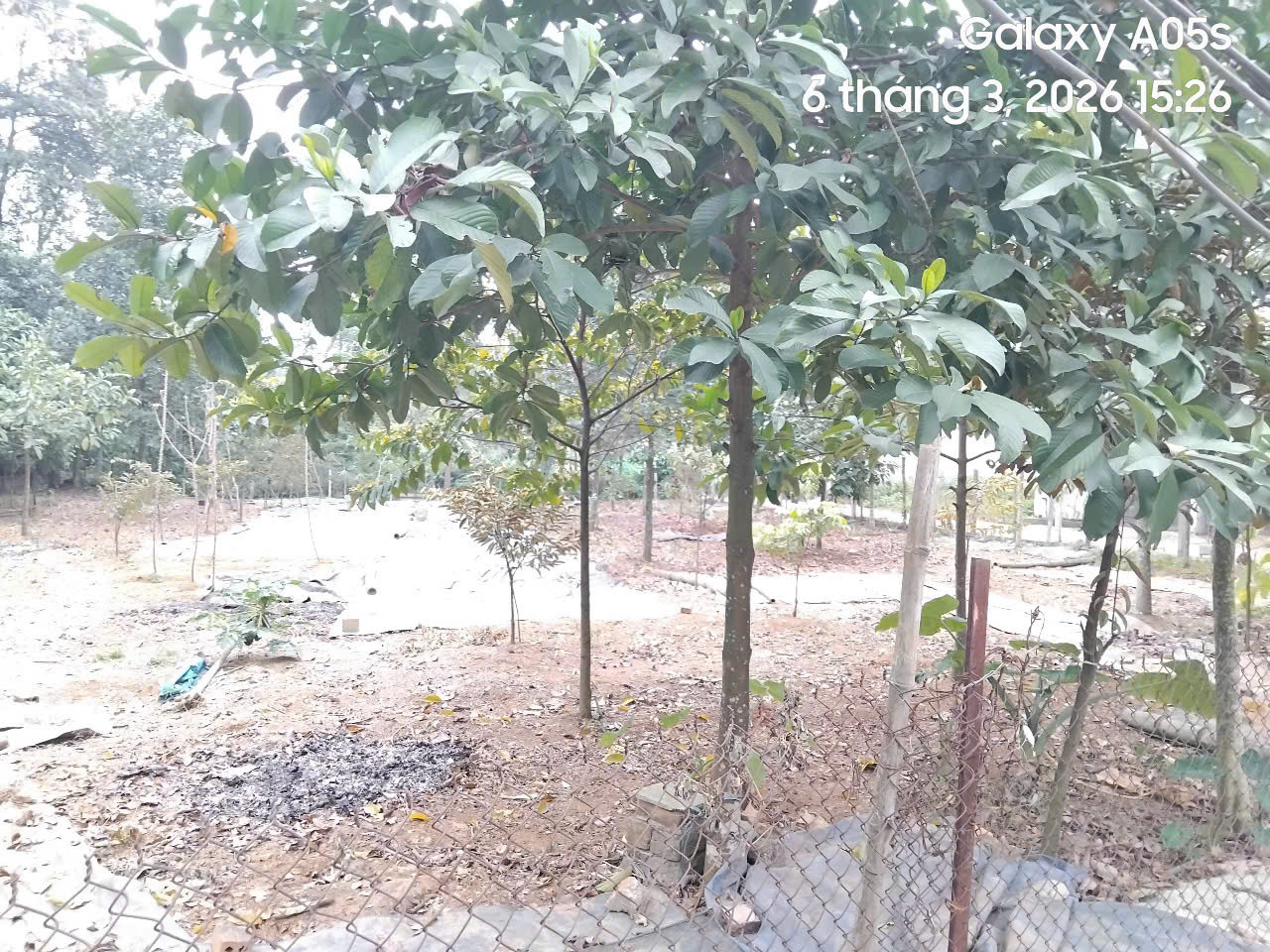 Bán đất 98.3m² full thổ cư ngang 5m giá 2.2 tỷ tại Phường Nông Trang
