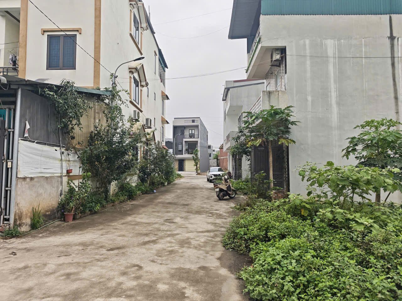 Bán đất 81m² full thổ cư ngang 4.5m giá 3.05 tỷ tại Phường Nông Trang