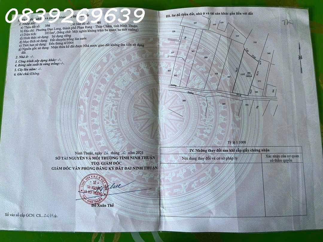 💥Bán đất NN Đạo Long, gần ngã 3 An Long, cách đường Thống Nhất 300m