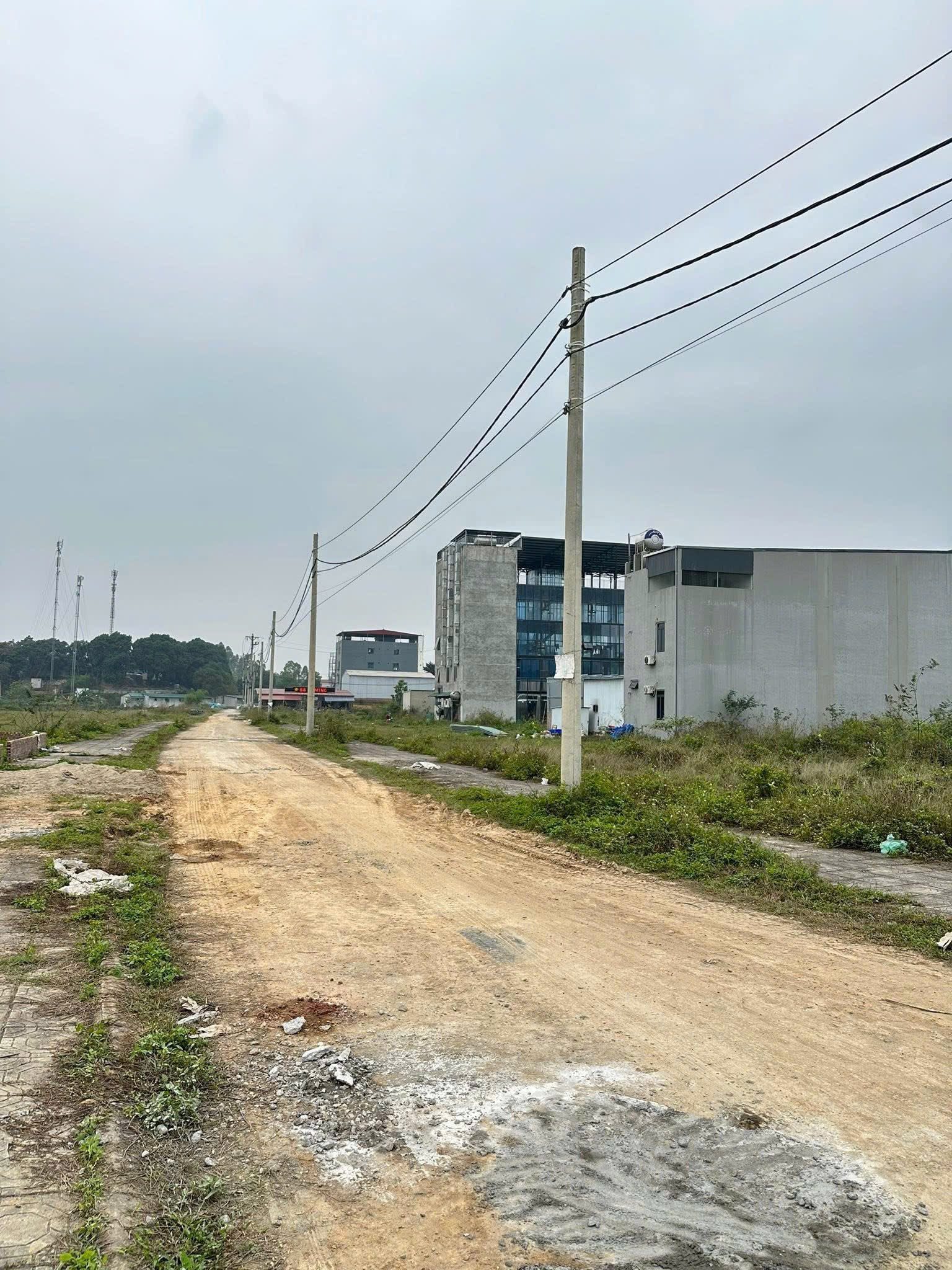 Bán Đất 139m² thổ cư 139m² giá 2.25 tỷ tại Phường Phong Châu Phú Thọ