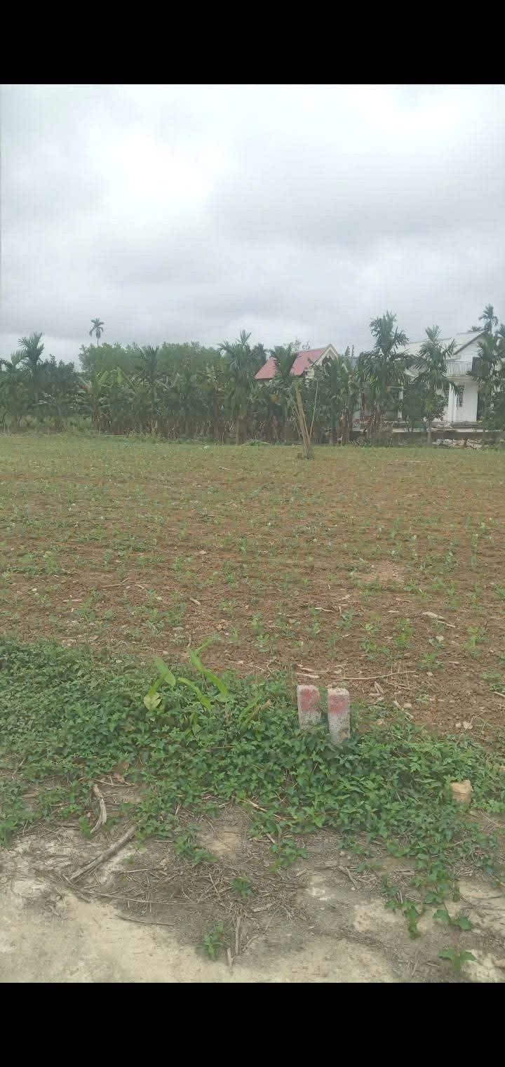 ĐẤT ĐẸP - GIÁ TỐT - Chính Chủ Cần Cần Bán Nhanh Lô Đất Tại Phường Phong Điền, Tp Huế