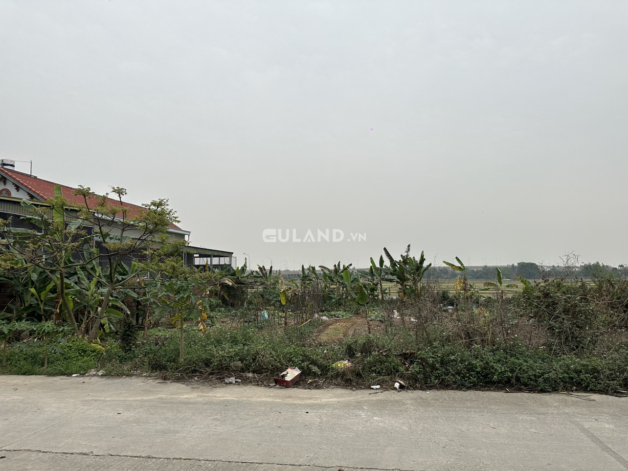QH Cầu Ván, Phong Hải