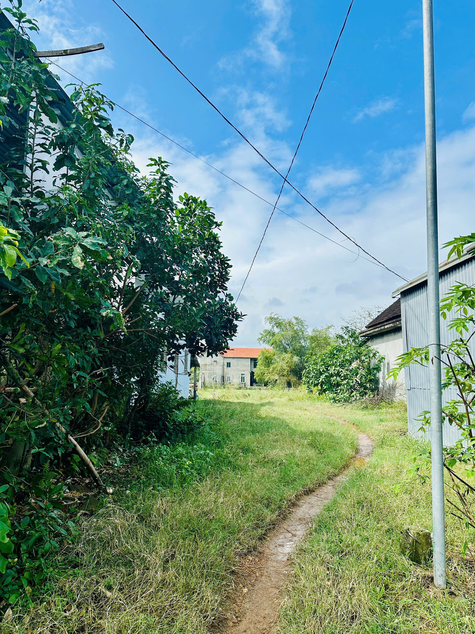 BÁN 184.3m2 ĐẤT ĐƯỜNG LÊ TỌNG BẬT CÁCH NGUYỄN TẤT THÀNH 400M, GẦN ĐƯỜNG SÓNG HỒNG