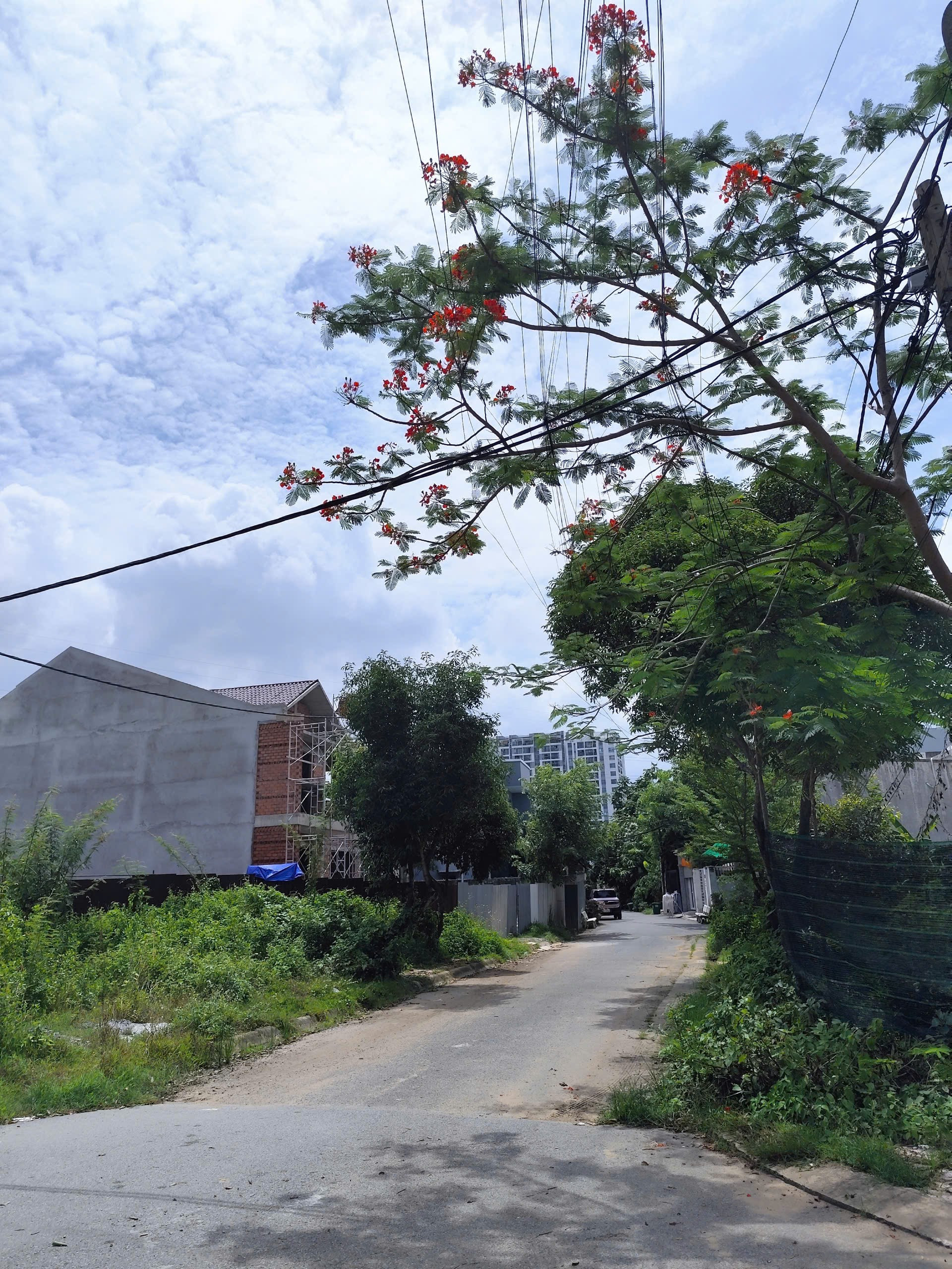 Bán gấp đất Gò Cát Phú Hữu Q9 cũ dt đất 156.9m² full thổ cư ngang 9.2m giá 8 tỷ
