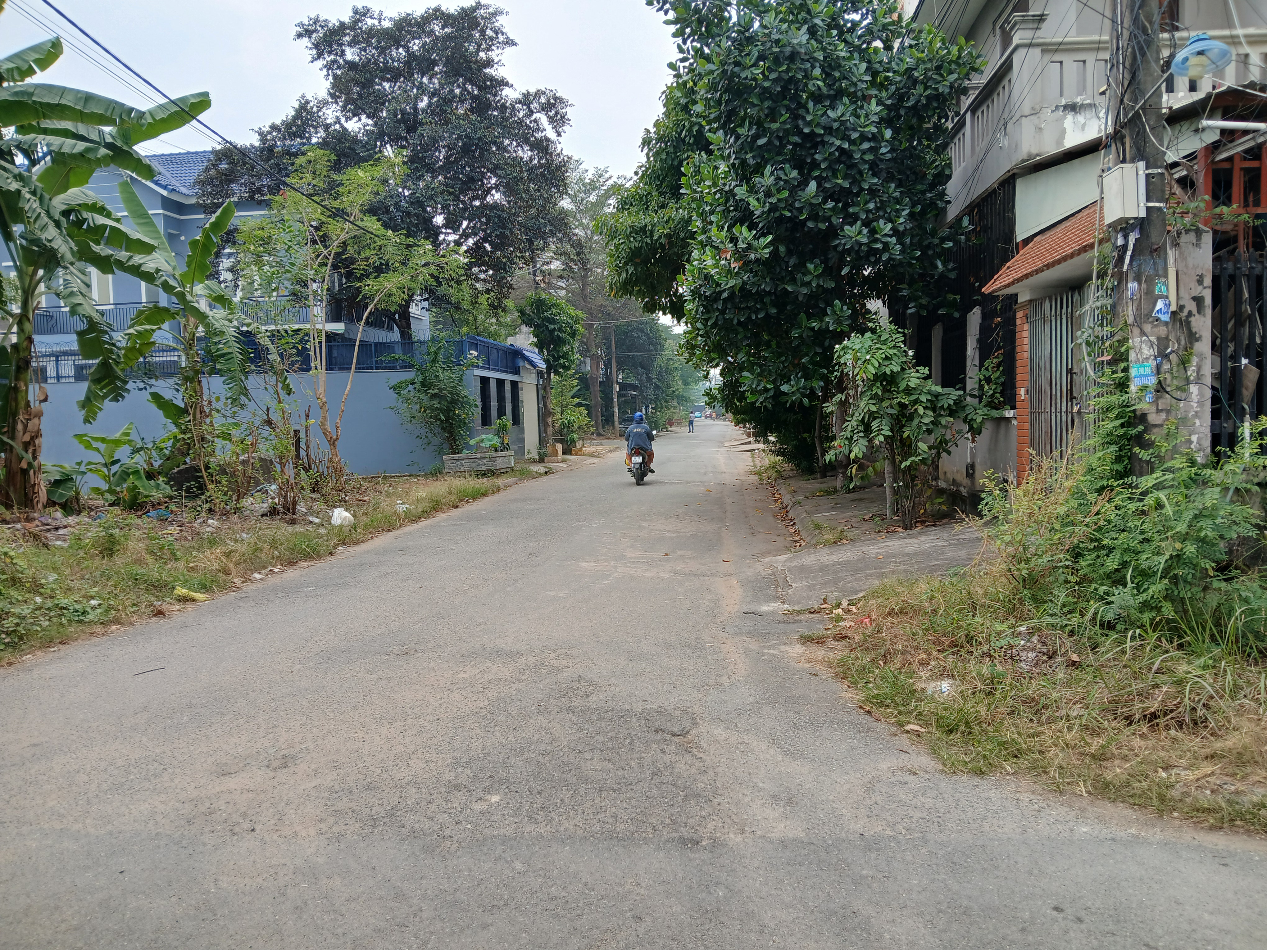 CHO THUÊ 1600M2 ĐẤT THỔ CƯ NGAY VÒNG XOAY PHÚ HỮU
