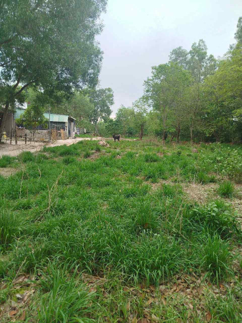Bán đất 473,7m² ngang 6m giá 1.8 tỷ Phường Phú Mỹ