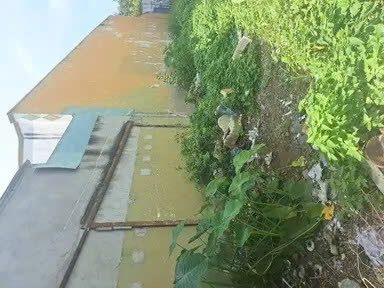 HÀNG HOT- LIỀN KỀ PHÚ MỸ HƯNG QUẬN 7 - ĐẤT RỘNG 112.5M2 FULL THỔ CƯ - KHU HIỆN HỮU TIỆN XÂY MỚI- CHỈ 7.35 TỶ