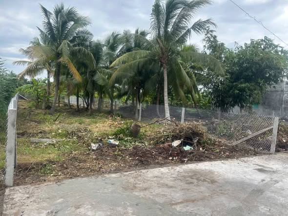 Bán nền biệt thự 450m2 có thổ cư Phường Phú Tân,Bến Tre