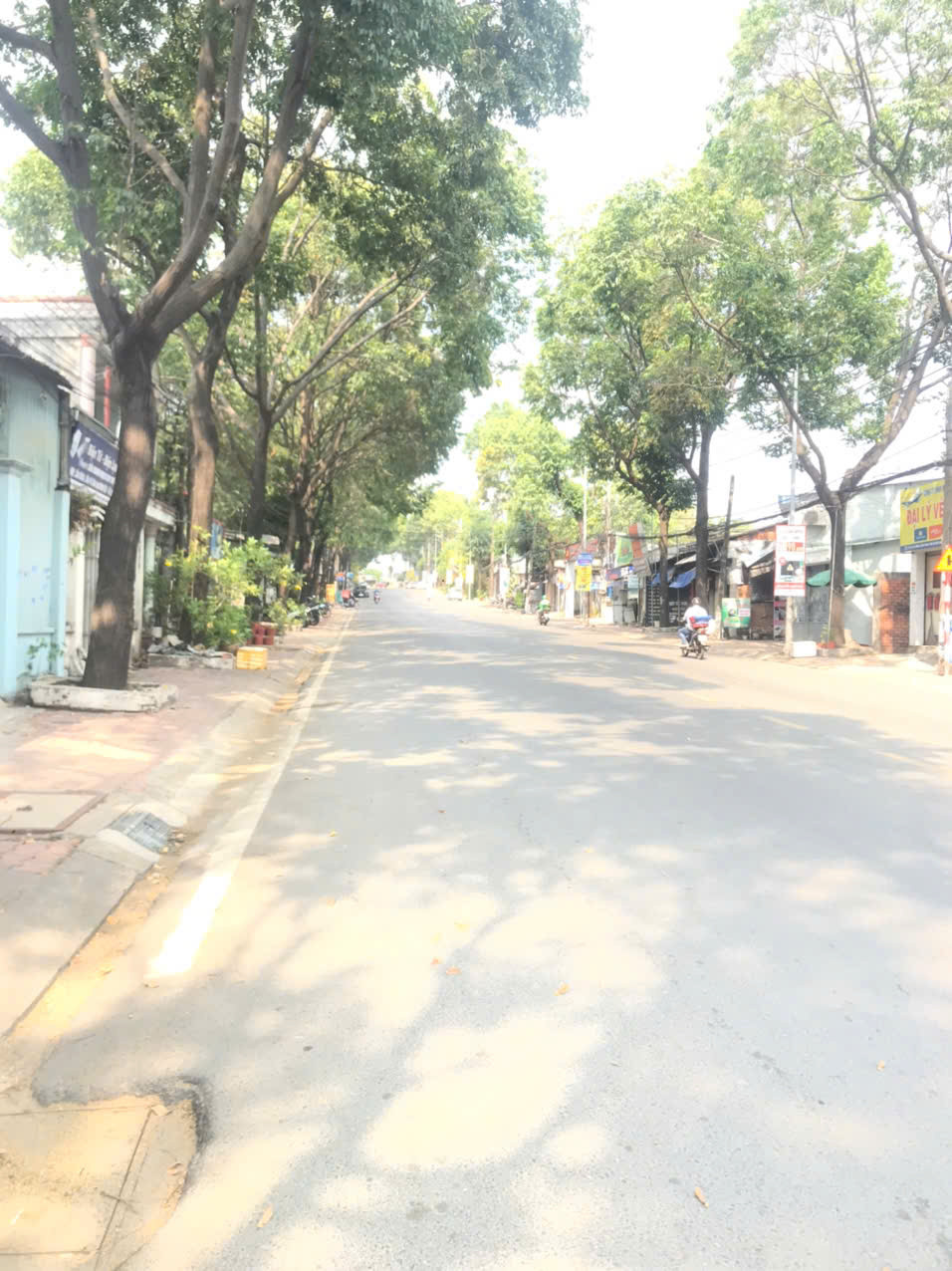 Bán đất ngay phường Phú Thọ Thành Phố Thủ Dầu Một Bình Dương